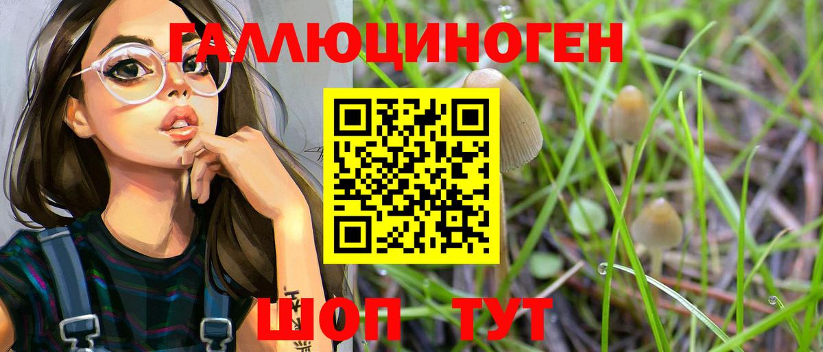 Воркута  закладки  Вход с VPN  Псилоцибиновые грибы Cubensis 