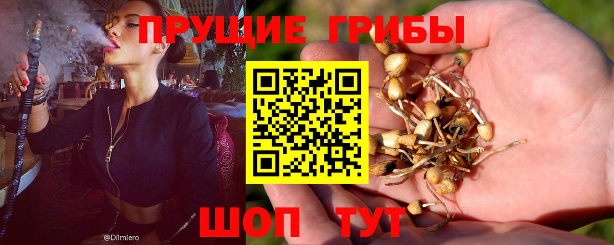 Галлюциногенные грибы MAGIC MUSHROOMS Воркута
